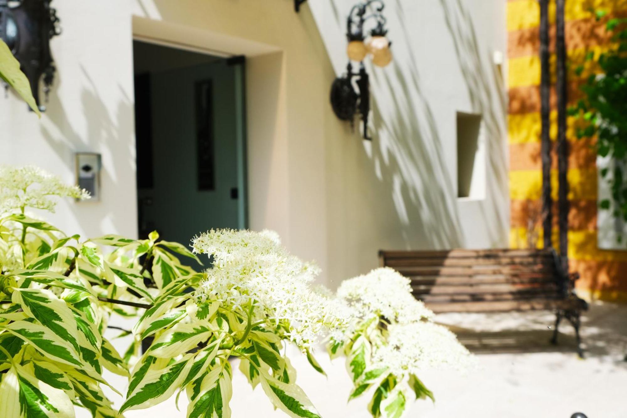 Hotel Villa Ca Damiani Caneva ภายนอก รูปภาพ