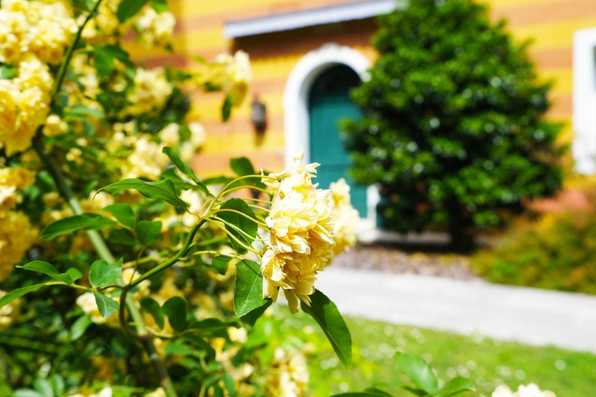 Hotel Villa Ca Damiani Caneva ภายนอก รูปภาพ