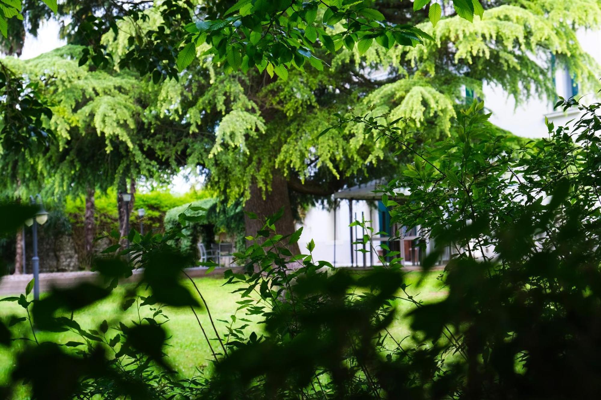 Hotel Villa Ca Damiani Caneva ภายนอก รูปภาพ